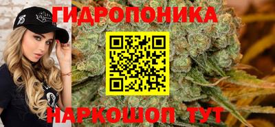 spice Кунгур