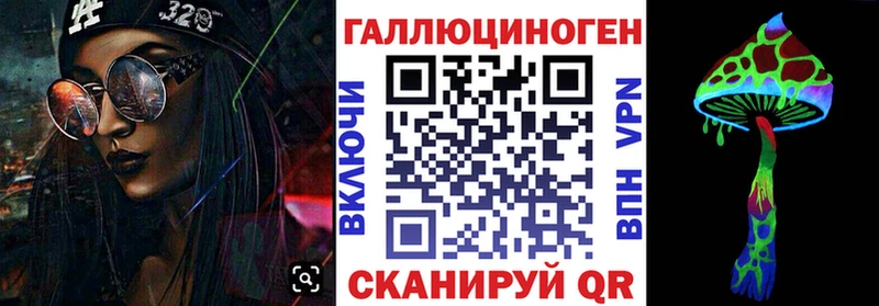 закладка  Йошкар-Ола  Галлюциногенные грибы Psilocybe 