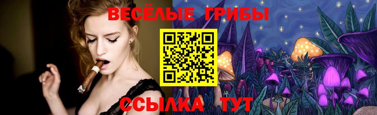 Псилоцибиновые грибы Psilocybine cubensis Йошкар-Ола