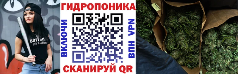 цена наркотик  Йошкар-Ола  Канабис планчик 